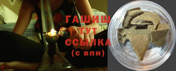 хмурый Белокуриха