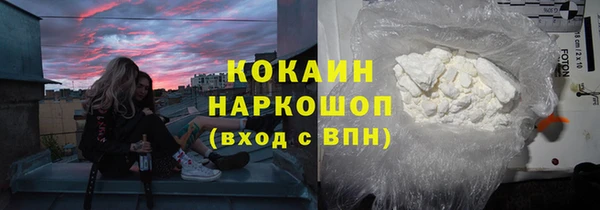 хмурый Белокуриха