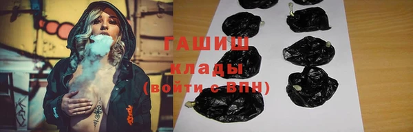 хмурый Белокуриха