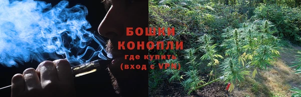 хмурый Белокуриха